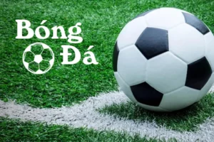 Phân Tích Quy Tắc Bóng Trong Cuộc Và Bóng Ngoài Cuộc Chi Tiết