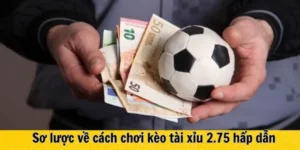 Hướng Dẫn Cách Chơi Kèo 2.75 Trong Bóng Đá