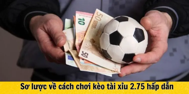 Hướng Dẫn Cách Chơi Kèo 2.75 Trong Bóng Đá