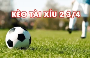Hướng Dẫn Cách Chơi Kèo Chấp 2 3/4 Chi Tiết Cho Người Mới Bắt Đầu