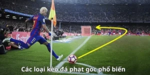 Hướng Dẫn Cách Chơi Kèo Phạt Góc Bóng Đá Chuyên Sâu Và Chính Xác