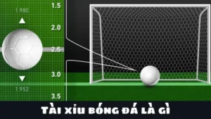 Bí Quyết Cách Chơi Kèo Tài Xỉu Bóng Đá Luôn Thắng Cho Người Mới