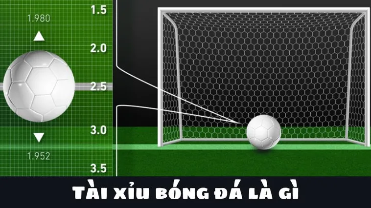 Bí Quyết Cách Chơi Kèo Tài Xỉu Bóng Đá Luôn Thắng Cho Người Mới