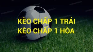 Hướng Dẫn Cách Chơi Kèo Chấp 1 Hiệu Quả Trong Cá Cược Bóng Đá