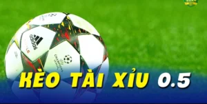 Hướng Dẫn Cách Chơi Kèo Tài Xỉu Thành Công Nhờ Dữ Liệu Ghi Bàn