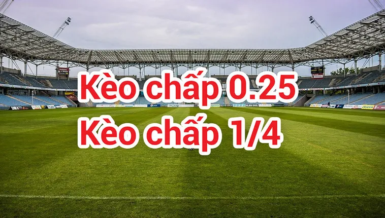 Tìm Hiểu Chi Tiết Cách Chơi Kèo Chấp 0.25 Cho Người Mới Bắt Đầu
